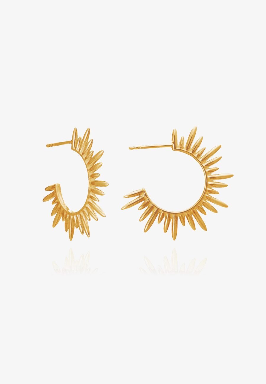 Electric Goddess Medium Hoop Earrings